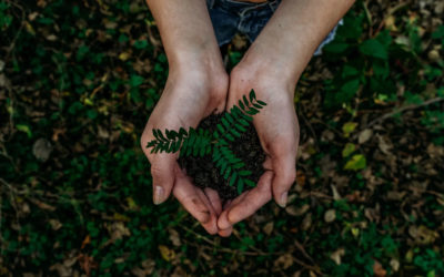 Celebrating Earth Day