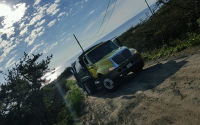 Giving Back to the Community and Environment