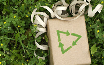 4 Ways to Go Green this Holiday Season