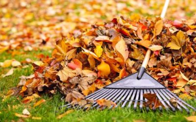Green Tips for Your Home this Fall