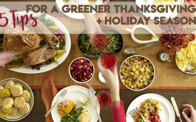 5 Easy Green Thanksgiving Tips