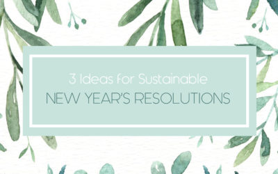 3 Ideas for Sustainable New Year’s Resolutions